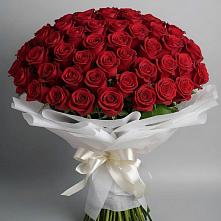 Букет 101 Красная роза Блэк Мэджик в Дивеево