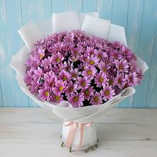 Букет цветов из:  Хризантемы в Дивеево