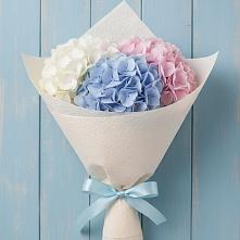 Букет цветов из:  Гортензия в Дивеево