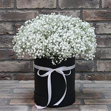 Цветочная композиция из Гипсофила в шляпной коробке #REPLACE_PRED# Дивеево