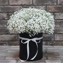 Цветочная композиция из Гипсофила в шляпной коробке в Дивеево