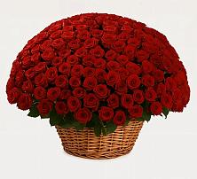 Премиум букет из: Розы в Дивеево